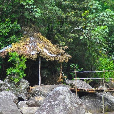 Jungle Tree House Rangala Bed & Breakfast Канди Екстериор снимка