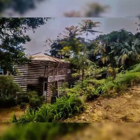 Jungle Tree House Rangala Bed & Breakfast Канди Екстериор снимка