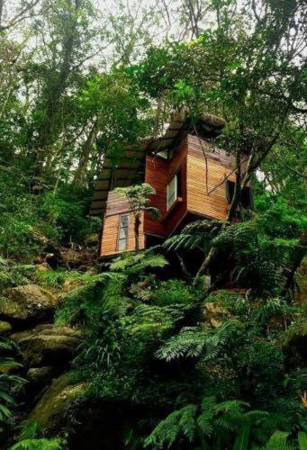 Jungle Tree House Rangala Bed & Breakfast Канди Екстериор снимка