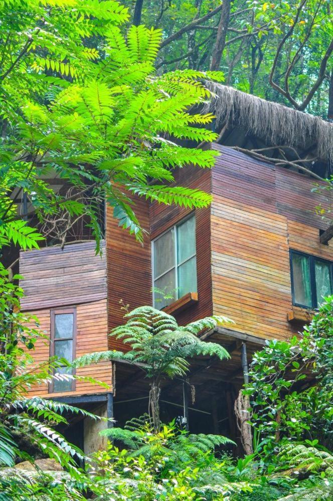 Jungle Tree House Rangala Bed & Breakfast Канди Екстериор снимка